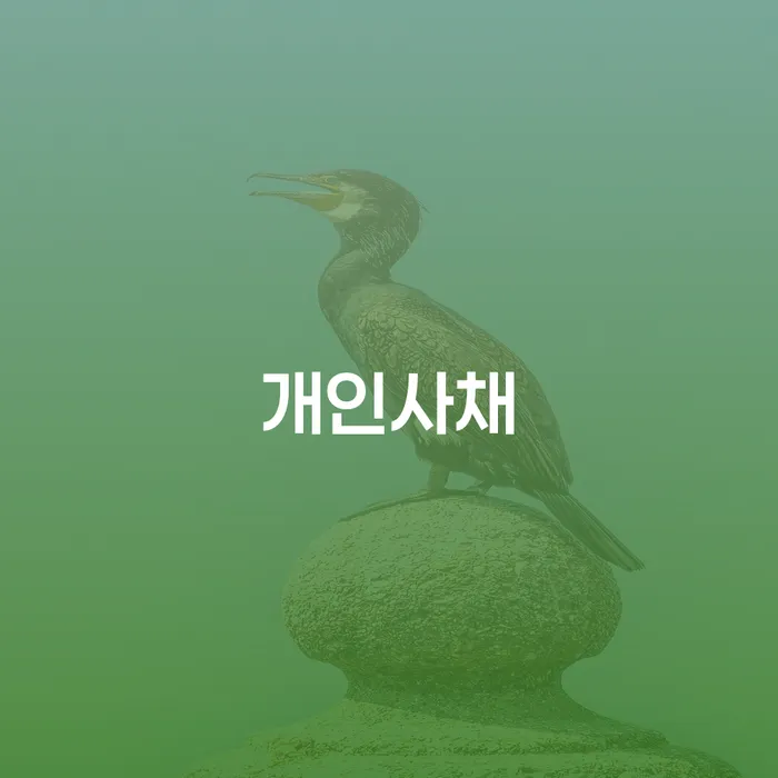 카드값 석달 연체 개인회생으로 방법 과정을