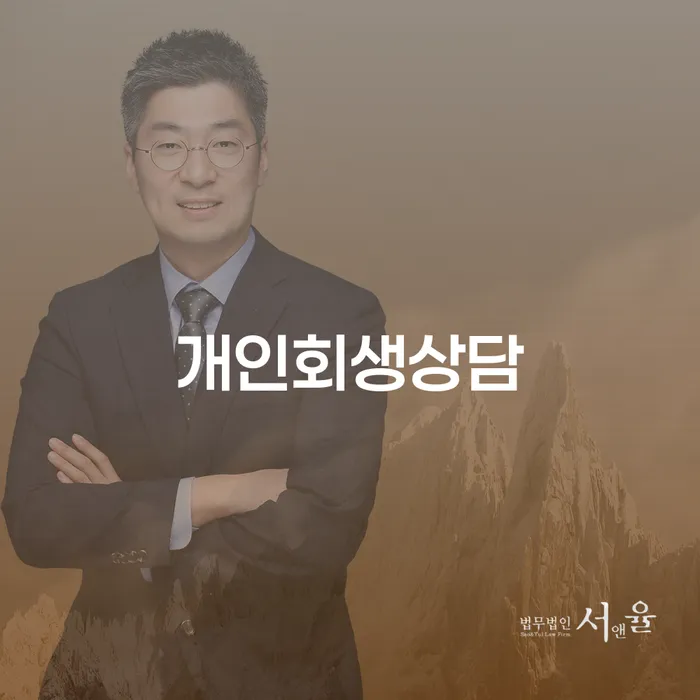 2024년 개인회생 채무 효과적인 해결방법 있는지확인
