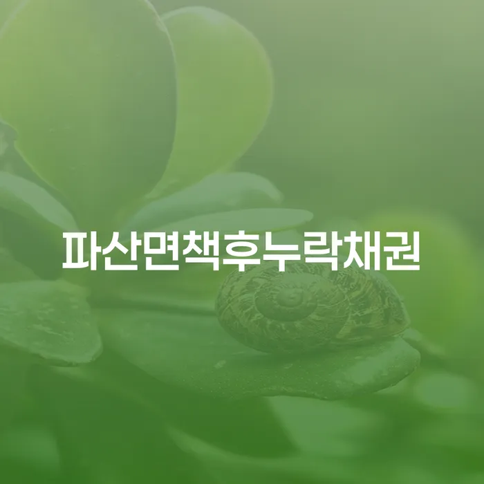 국세파산 개인파산 면담후에