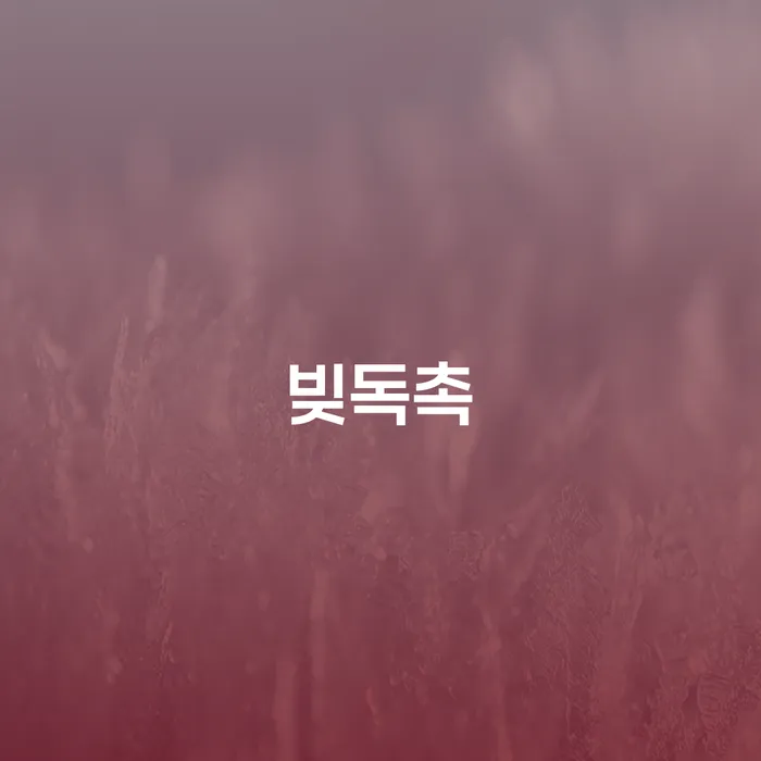 개인회생 채무조정제도을 이용하여 해결 방법 알려드려요.