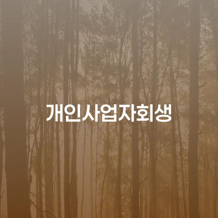 개인회생진행 개인회생으로 방법 여기서 확인!