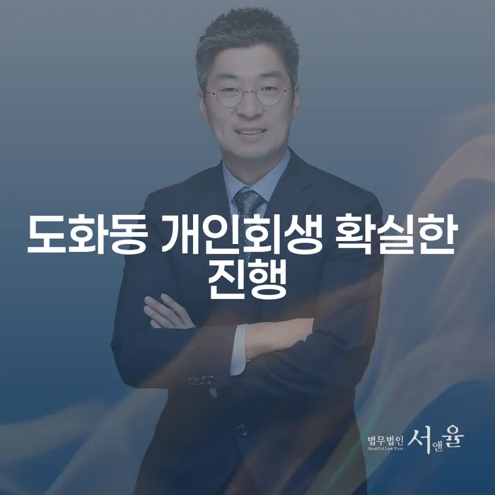 도화동 개인회생 확실한 진행
