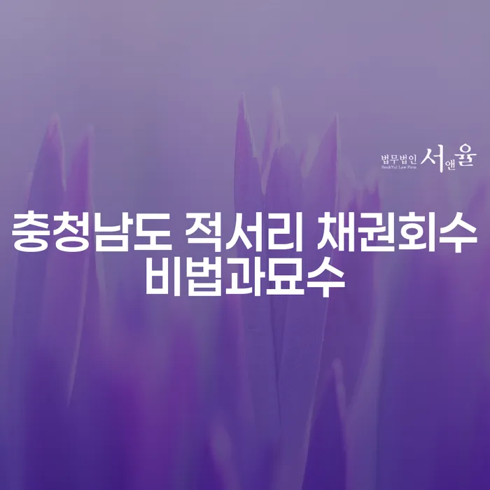 채무로 인한 고통, 충청남도 적서리에서 채권 회수와 개인회생 무료 상담으로 해결할 수 있을까요?