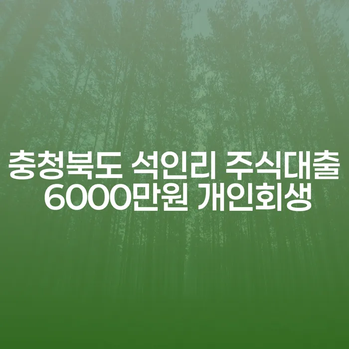 충청북도 석인리에서 주식대출 6000만원 개인회생을 고민하시나요?