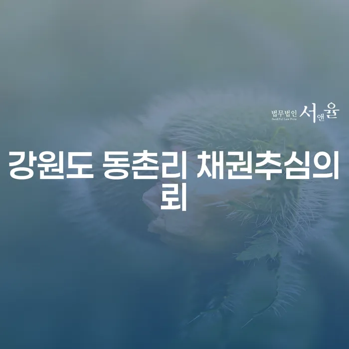 강원도 동촌리에서 채권추심의뢰와 파산, 어떻게 접근해야 할까요?